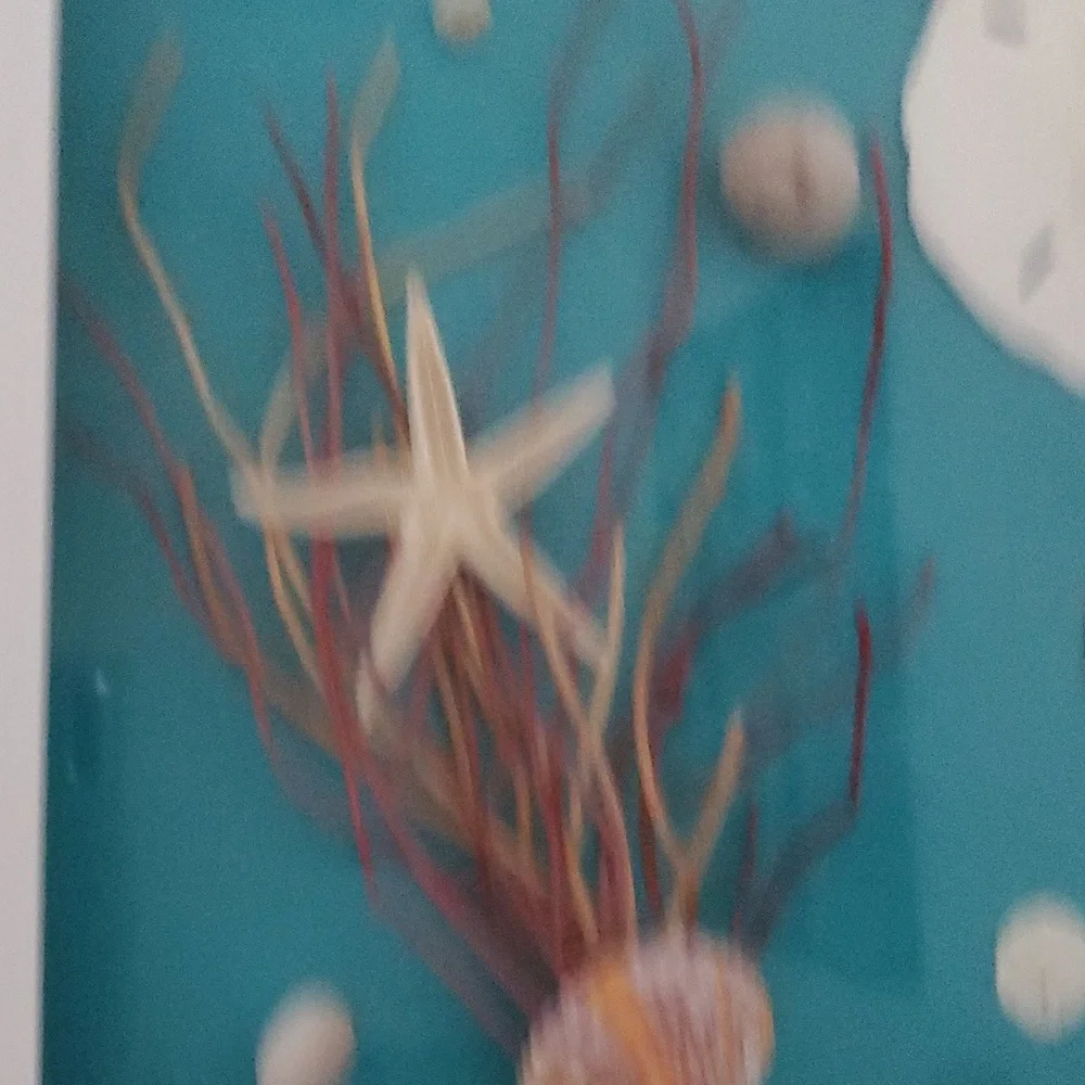 Shell, coral, star fish no973 - Picture 2 of 3